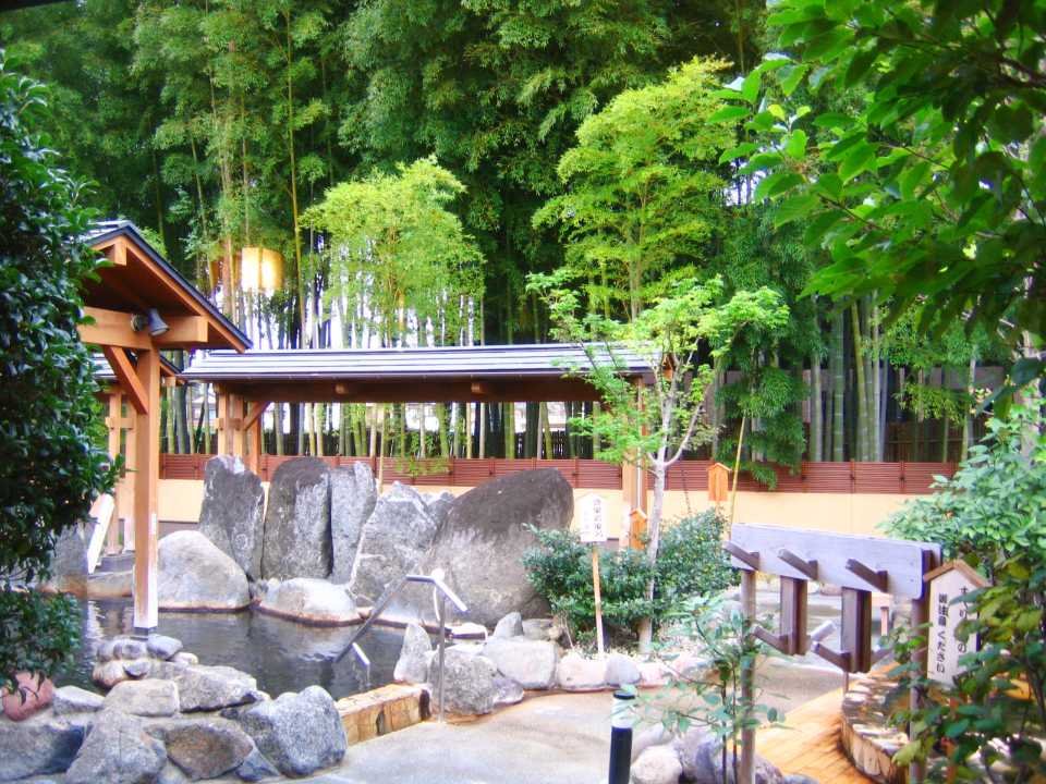 ♨️ 사이타마 세이간지 온천 (さいたま清河寺温泉) 이미지 1